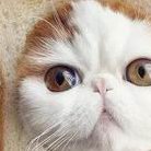 天津试管婴儿受孕大概花多少钱？天津2026助孕价格明细一览表