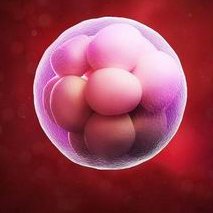 上海最有实力的医院三代试管婴儿排名公布预计2026年辅助妊娠成功率