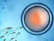 专业助孕机构_江苏徐州三代试管助孕咨询_徐州市三代试管助孕服务